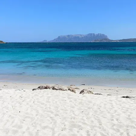 Lägenhet Terrazza Su Tavolara *