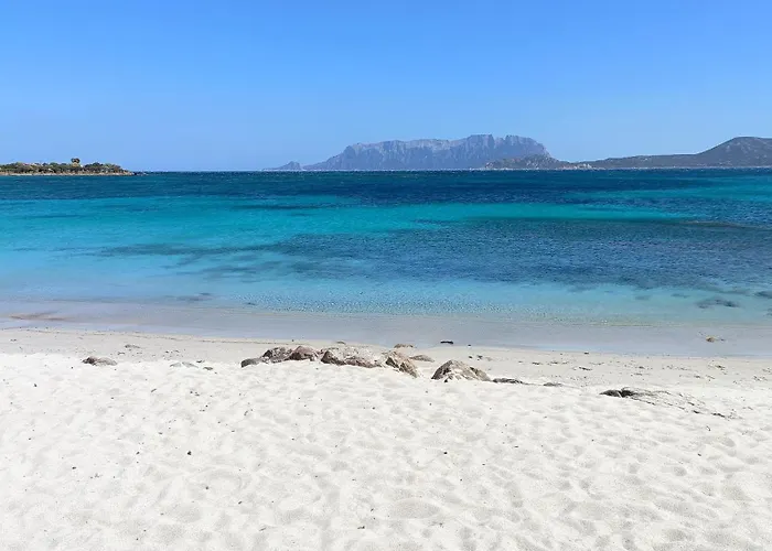 Appartement Terrazza Su Tavolara *